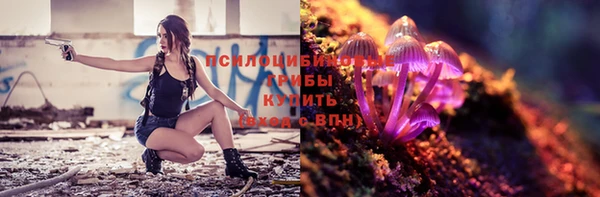 прущие крисы Рославль